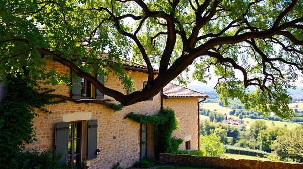 Après l'arbre : les maisons bioclimatiques en Haute-Garonne